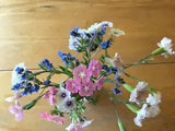 Cutting Flowers Bouquet Mix Seeds