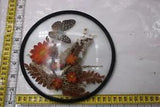 Vintage Boho Dried Flower Butterfly Centerpiece In Glass R1B5
