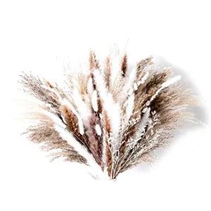 80ho Home Decor Bouquet, Phragmites Dried Flowers,Bouquet for Wedding Decor I1Q1