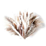 80ho Home Decor Bouquet, Phragmites Dried Flowers,Bouquet for Wedding Decor V1F6