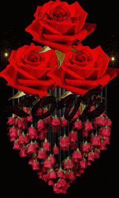 ¡ì?¡ì? ¡ì?¨¤¡ì????¨¨¡ì?? ?¡ì?¡ì????¨¨¡ì?? ¡ì????¡ì???..? Flower Delivery