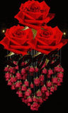 ¡ì?¡ì? ¡ì?¨¤¡ì????¨¨¡ì?? ?¡ì?¡ì????¨¨¡ì?? ¡ì????¡ì???..? Flower Delivery