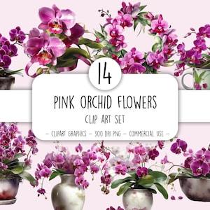 Watercolor pink orchid flowers clip art Printable orchid flower graphics FREE commercial use Orchids in pots Tropical flowers Orchid clipart