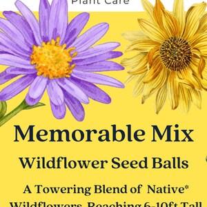 Memorable Mix Native Wildflower Seed Balls | 10 Seed Balls | Peat Free | Native to Eastern Canada and NE USA