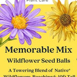 Memorable Mix Native Wildflower Seed Balls | 10 Seed Balls | Peat Free | Native to Eastern Canada and NE USA