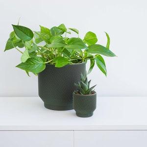 Green Plant Pot | Green Planter | Indoor Planter | Indoor Plant Pot | Minimal Plant Pot | Minimal Planter | Succulent Planter | Cactus Pot