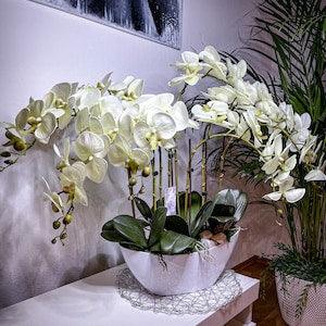 Real touch Orchids
