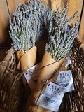 Dried Lavender Bundle