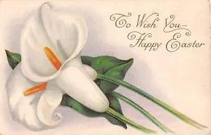 Beautiful Calla Lilies on Old Easter Postcard - Series 523 C