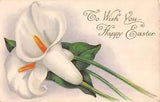 Beautiful Calla Lilies on Old Easter Postcard - Series 523 C