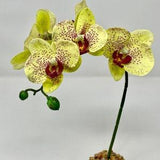 14" 1-stem Pale Yellow PHALAENOPSIS ORCHID Soft Silk plant, Stone base