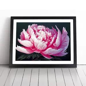 Framed wall art poster with pink peony flower on dark background