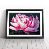 Idyllic Peony Flower Framed Wall Art Poster Print Home Decor Picture Large