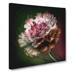 Carnation Flower Abstract Expressionism No.2 Canvas Print Wall Art Framed Large