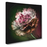 Carnation Flower Abstract Expressionism No.2 Canvas Print Wall Art Framed Large