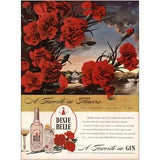 1945 Dixie Belle Gin: Favorite In Flowers Carnation Vintage Print Ad