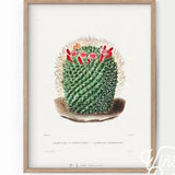 Cactus print Desert plant Boho wall art Vintage botanical Daughter gift Succulents wall decor Teen room wall art Gift for mum Green color