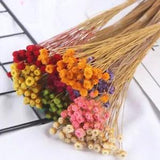 Natural Dried Flowers Bouquets And Real Flower Arrangements For Shooting Props