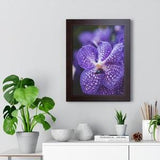 Orchid Detail - Framed Poster