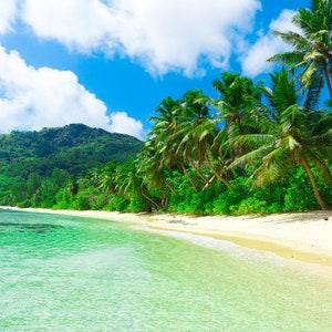 tropical seed box