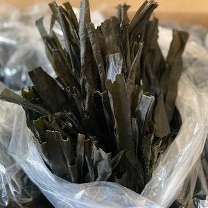 Organic Kombu Kelp (Digitata) Whole Leaf Pure Natural
