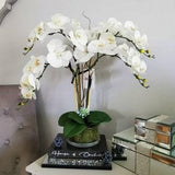 Cora Large White Real Look Luxury artificial Orchid Table Display with Moss and Willow in Clear Glass Vase