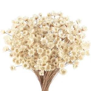 300 Pcs Dried Flowers with Stems Mini Flowers Bouquet White Dried Daisy Flower