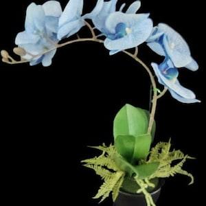 Artificial Phalaenopsis Orchid Plant, Silk Flowers BABY BLUE