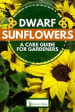 Dwarf Sunflowers: A Care Guide For Gardeners Flower Delivery