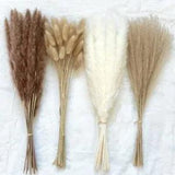 100 Pcs Dried Pampas Grass Decor, Dried Flowers Bouquet with 30 Pcs Pampas