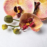 artificial orchid, orange orchid, artificial flowers, yellow phalaenopsis, orchid home decor, orchid gift, orchid bouquet, orchid wedding