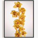Yellow Boat Orchid Print, Flower Photography, Flower Wall Art, Orchid Art, Floral Art, Cymbidium Orchids, Macro Flower, Art For Gratitude