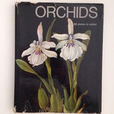 Orchid book colour plates 1970 vintage flower hard back UK seller
