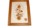 vintage framed art signed rocky mountain wildflowers dried botanical