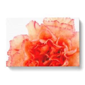 Canvas Print Wall Art Orange Carnation Flower Painting Framed Picture