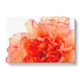 Canvas Print Wall Art Orange Carnation Flower Painting Framed Picture