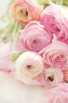 Wedding Flowers: Ranunculus Flower Delivery