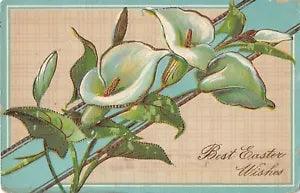 1911 Gilded Gelatin Easter PC of Gorgeous Calla Lilies - No. 610