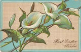 1911 Gilded Gelatin Easter PC of Gorgeous Calla Lilies - No. 610