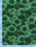 Water Lily Fabric Plants Leaves Green Cotton Timeless Treasures CM8304 By Yard