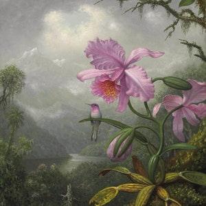 Martin Johnson Heade : Hummingbird Perched on the Orchid Plant (1901) Canvas Gallery Wrapped or Framed Giclee Wall Art Print (D6045)