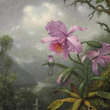 Martin Johnson Heade : Hummingbird Perched on the Orchid Plant (1901) Canvas Gallery Wrapped or Framed Giclee Wall Art Print (D6045)