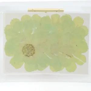12PCS Real Pressed Dry dyed green Garden Cosmos flower for art, craft FSS59 #4