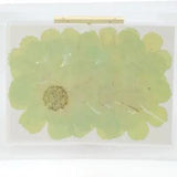 12PCS Real Pressed Dry dyed green Garden Cosmos flower for art, craft FSS59 #4
