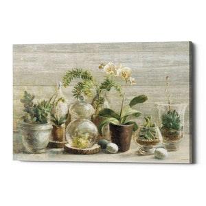 Greenhouse Orchids on Wood by Danhui Nai, Canvas Wall Art