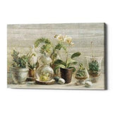 Greenhouse Orchids on Wood by Danhui Nai, Canvas Wall Art