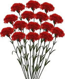 Artificial Synthetic Single Carnation Flower Stick Home Decor Set of 15 stick