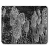 Rectangle Mouse Mat BW - Hot Pokers Lily Flower Plant Garden #43430