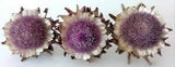 Lot of 3 Real Dried Artichoke Flowers ~ 6 Inches Wide on Natural Stems - Lot 10