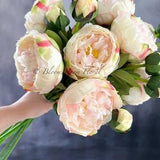 1  Real Touch Peony Stem | Extremely Realistic Luxury Quality Artificial Kitchen/Wedding/Home Decoration Gifts French Floral Flowers LT Pink